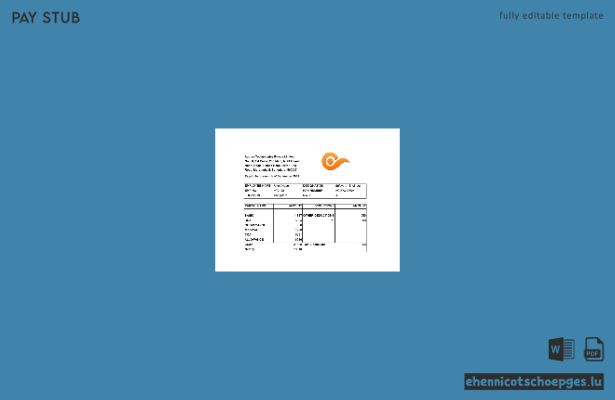 Gehaltsabrechnungsbeispiel von India Appren Technologies Private Limited